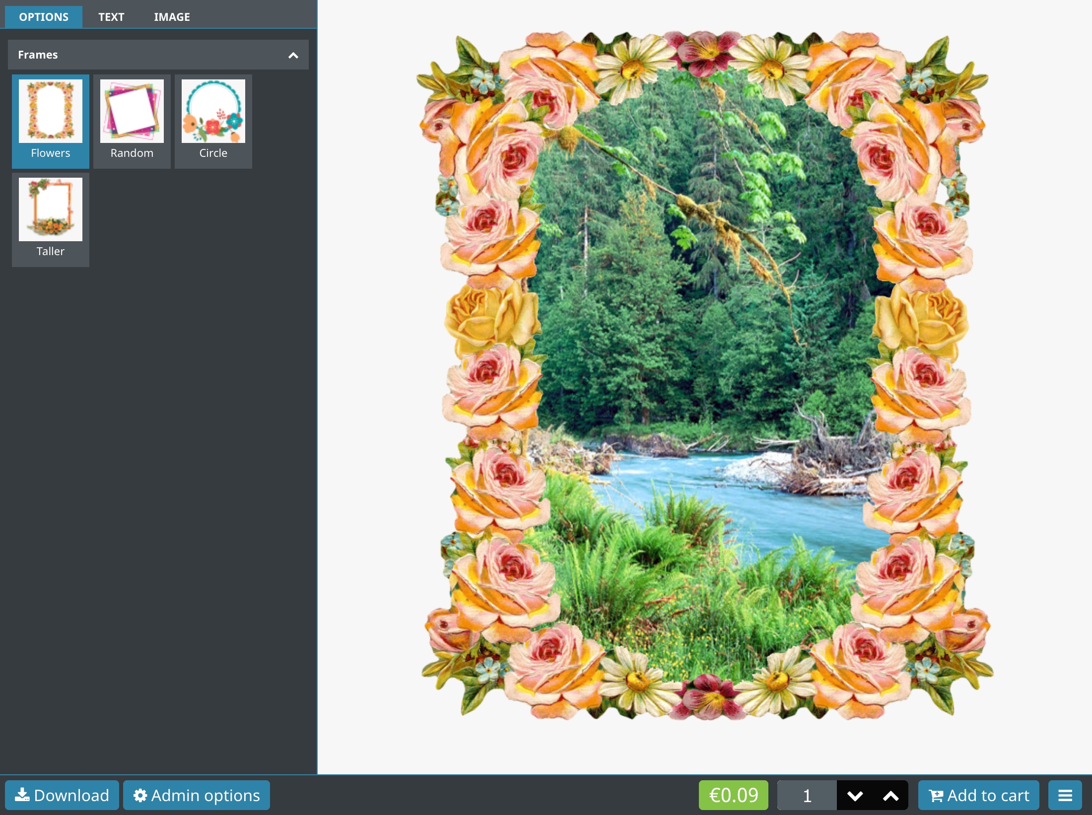 Frame flowers