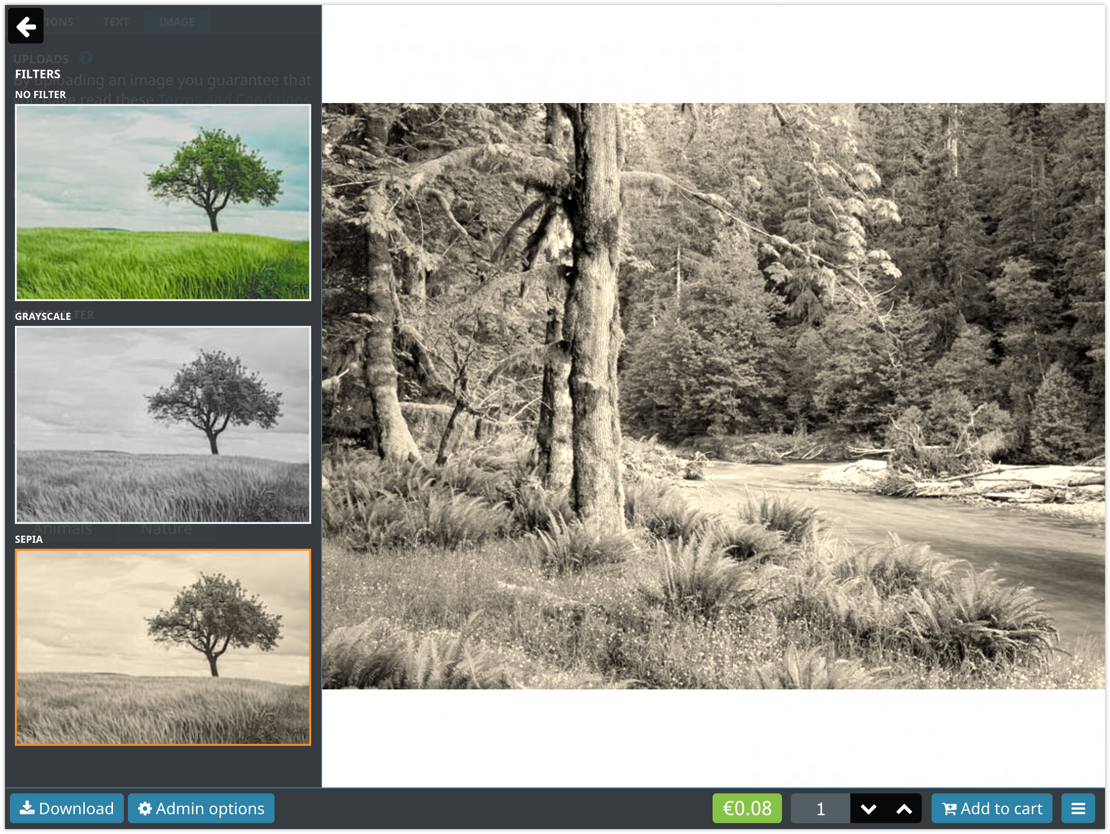 Image filters display