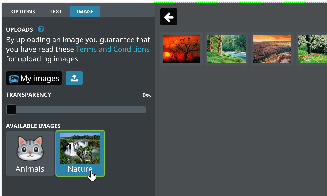 Product image groups display