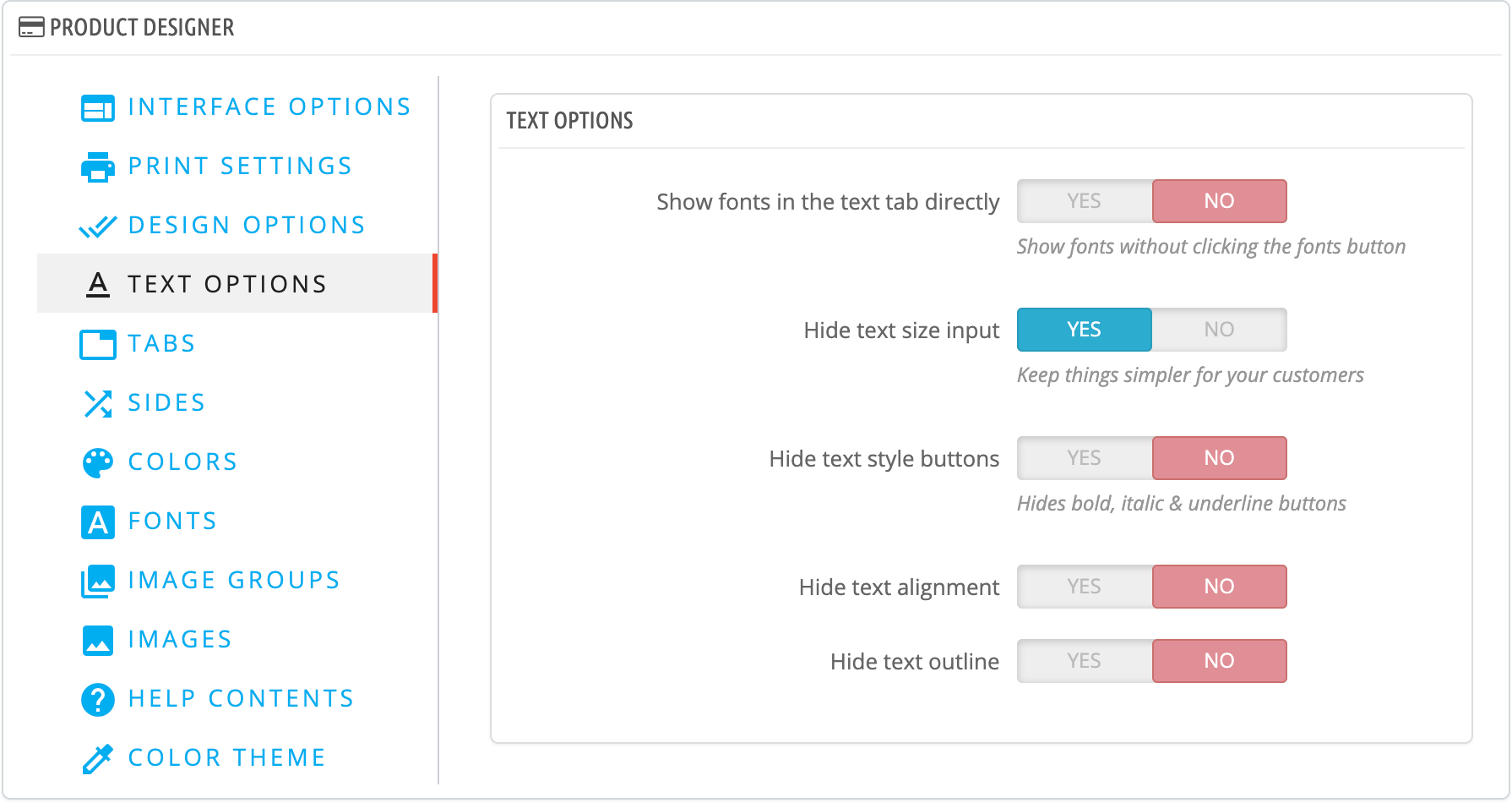 Text options panel